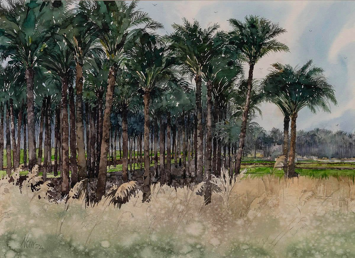 Wael Nour